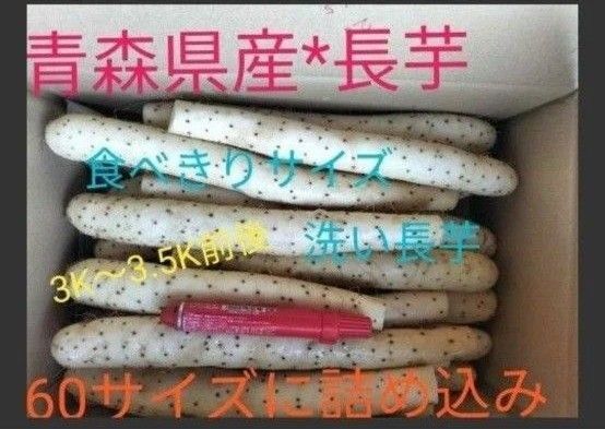 青森県産☆洗長芋☆60サイズ詰め詰め