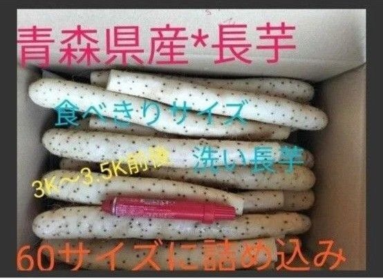 青森県産☆洗長芋☆60サイズ詰め詰め