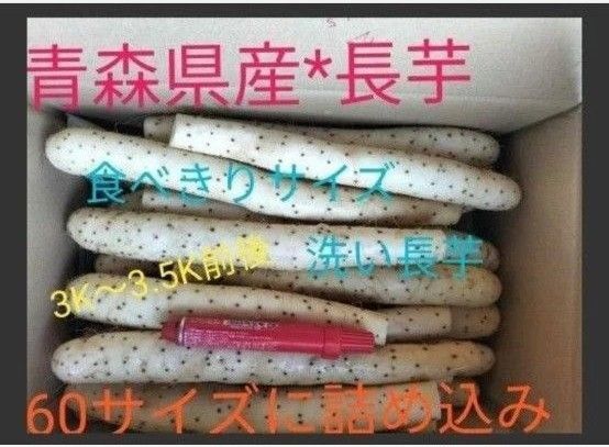 青森県産☆洗長芋☆60サイズ詰め詰め