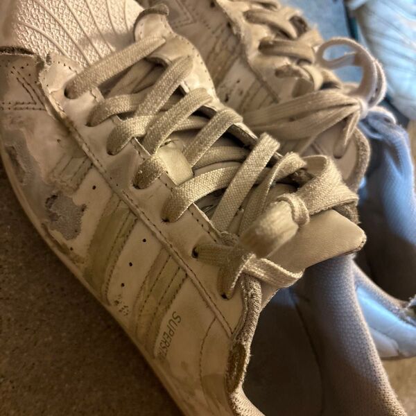 adidas スーパースター