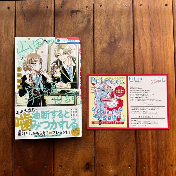 【6/6まで限定出品】山田の学級日誌 2 (応募券あり)(花とゆめCOMICS) 青海瑠依/著 TSUTAYAカード付き