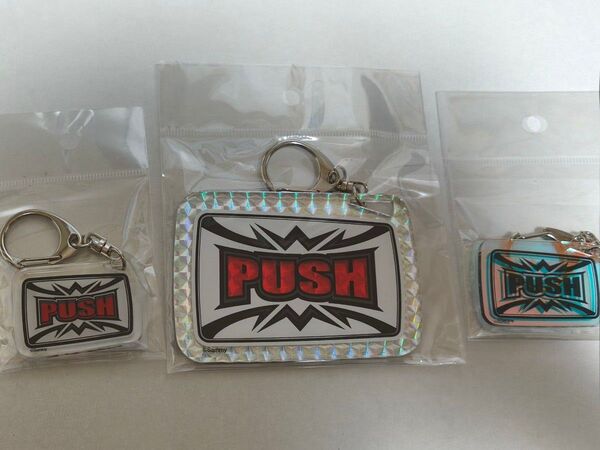 サミー PUSHボタンアクリルキーホルダー3点 sammy