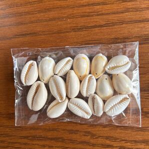 ハンドメイド 材料 貝殻 穴あき 2センチ物16個