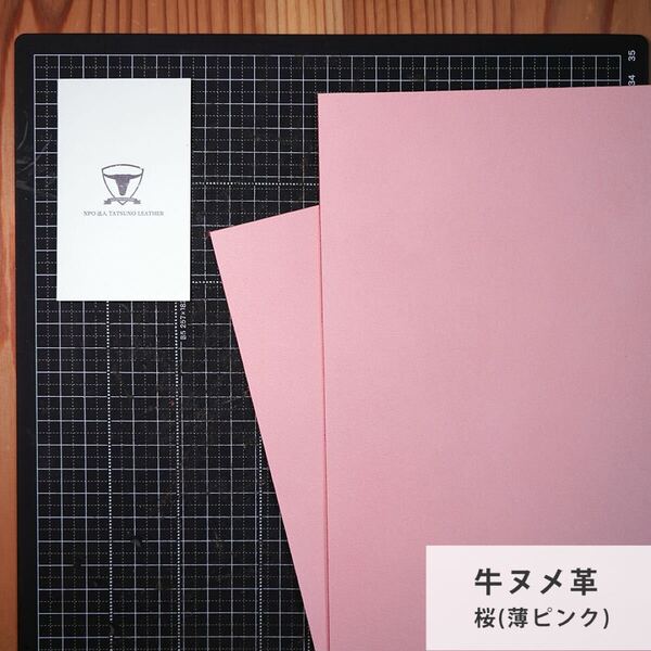 【A4サイズ2枚】国産ヌメ革(たつのレザー)ハギレ 桜色(薄ピンク) タンニン鞣し はぎれ 本革 パステルカラー