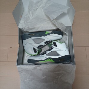 air jordan 5 retro /14_Silver 27.5