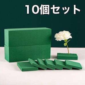 【10個】オアシス フローラルフォーム 給水スポンジ 生花 ドライオアシス 蛹室