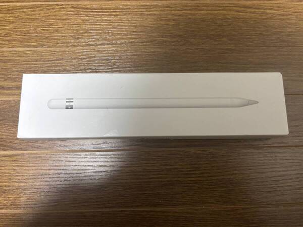 美品 Apple Pencil 第1世代 MQLY3J/A A1603