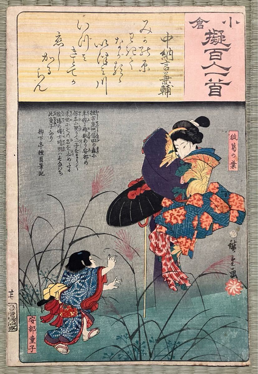 キツネの図版　フランス　アンティーク　版画　1880年　動物　博物画　額縁 1801年 Buffon 一般と個別の博物誌 アライグマ科 アライグマ属