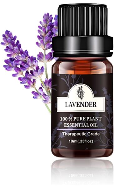 ラベンダー エッセンシャルオイル 10ml 天然100% 精油 アロマオイル アロマ アロマディフューザー 加湿器用 Lavender Essential Oil