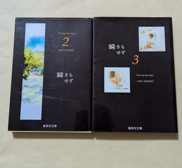 【即決・送料込】瞬きもせず 2、3 集英社文庫2冊セット 紡木たく