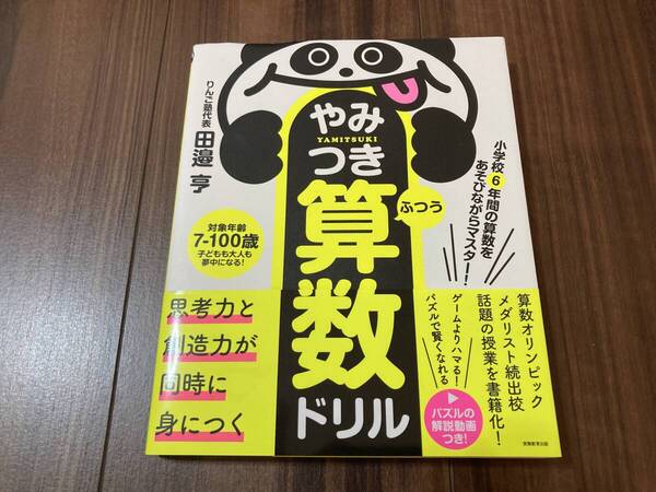 やみつき算数ドリル 小学校6年間の算数をあそびながらマスター! ふつう 田邉亨/著 【美品】