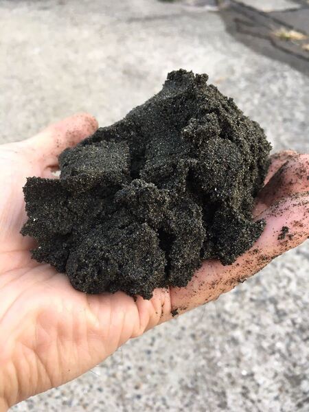 黒砂5キロ☆魚の色が映える黒く細かく重い砂☆1リットル1.6Kgの高比重 タナゴ ドジョウ コリドラス メダカ 二枚貝 熱帯魚 日本淡水魚 金魚