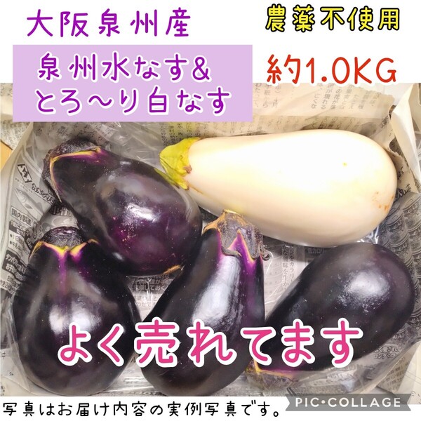 大阪泉州産 泉州水なす とろ~り白なす 農薬不使用 1kg ゆうパケットプラス