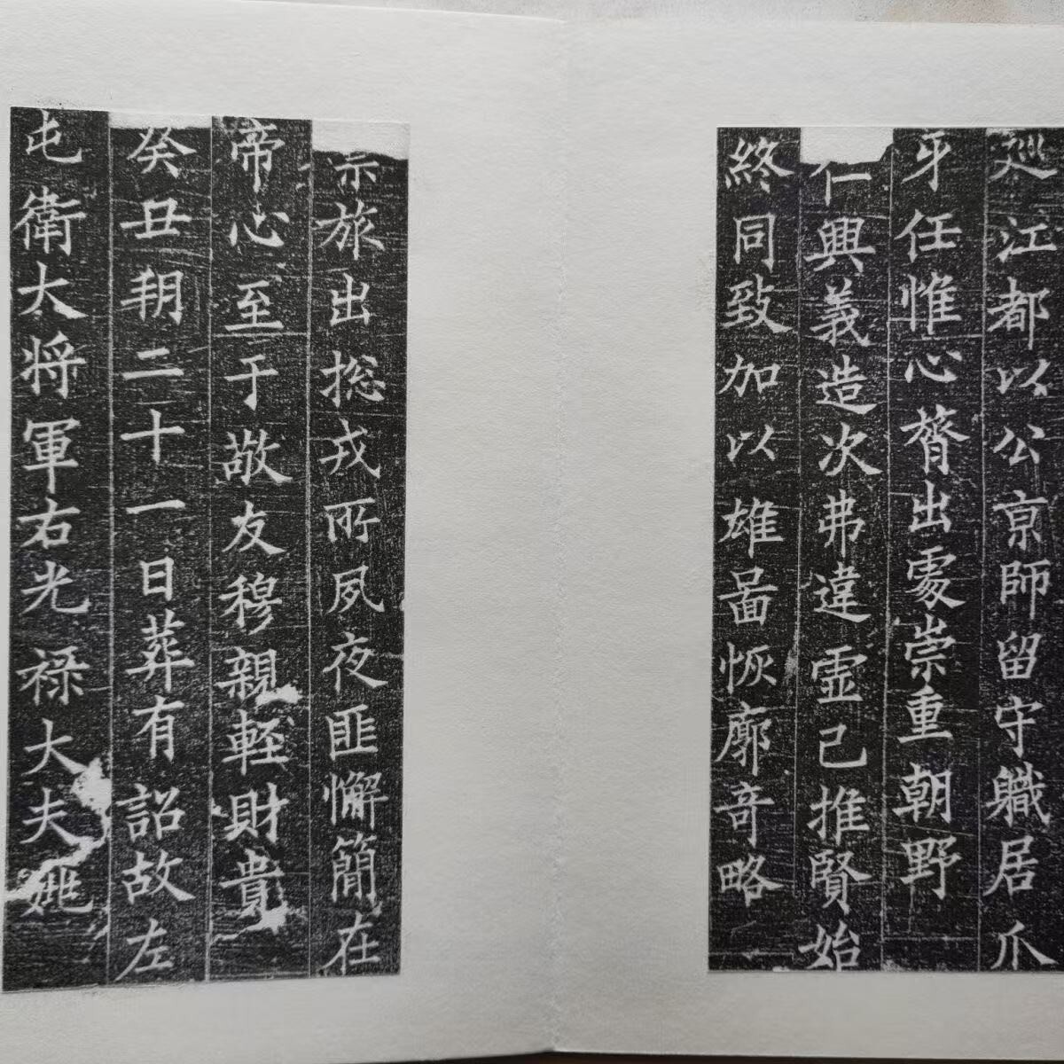 書道墨　八宝霊丹0.8丁型 八寳霊丹 (八宝霊丹) 0.8丁型 【黒～青系 純青松煙】 | 玉林堂