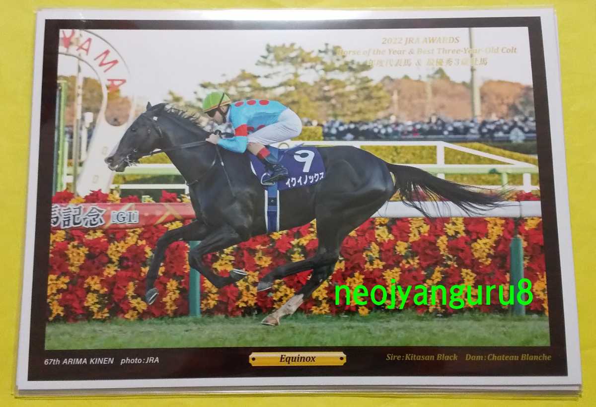 有馬記念キャンペーン当選品　イクイノックス 2025年最新】Yahoo!オークション -有馬記念 イクイノックスの