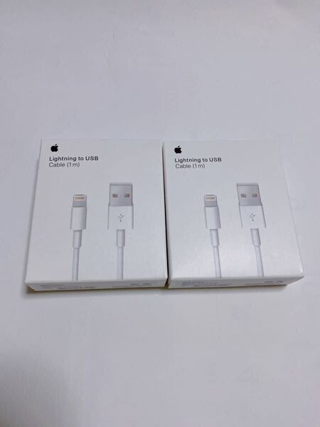 iPhone 純正 2本セット 1m 充電ケーブル ライトニング アップル充電器 USB Apple 箱入り
