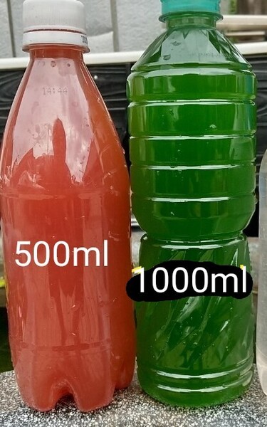 天然 グリーンウォーター(青水.種水)1000ml& PSB(光合成細菌)500ml 。。メダカ 金魚 熱帯魚 ミジンコ ゾウリムシ エサ