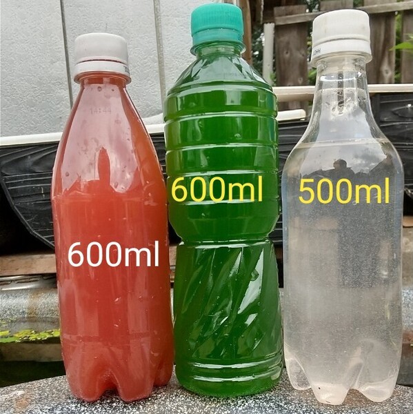 PSB(光合成細菌)600ml & グリーンウォーター(青水、種水)600ml & ゾウリムシ種水 500ml。めだか 金魚 メダカ ミジンコ。