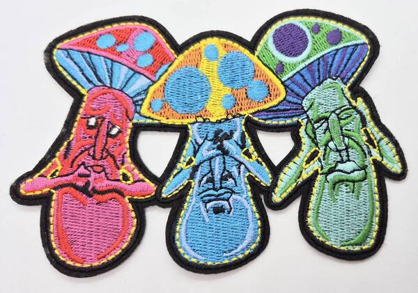 送料無料 きのこ キノコ 茸 こういうもの パッチ アイロン のりつき 刺繍 ワッペン アップリケ アメリカン雑貨 スマアク