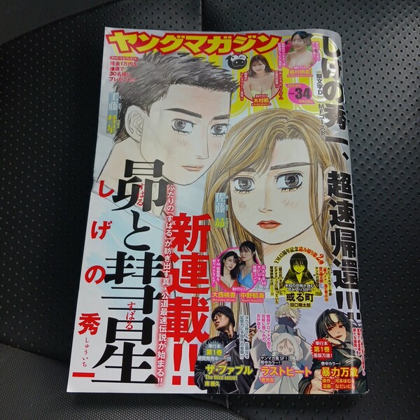 週刊ヤングマガジン 2025/8/4 No.34 奥村桃夏