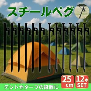 25cm スチールペグ 12本セット キャンプ バーベキュー ブラック テント タープ アウトドア ソロキャンプ フック 万能サイズ 公園 河原