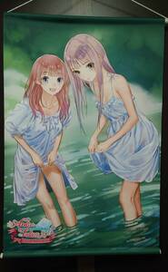 ルルアのアトリエ ルルア&ロロナ WスエードB2タペストリー