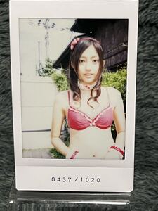 2010 さくら堂 菊地亜美 チェキ
