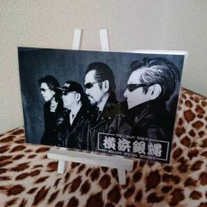 横浜銀蝿 ラミネート