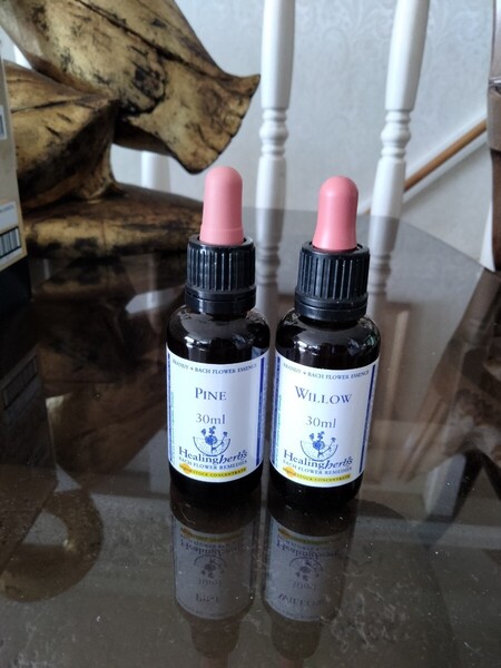 30ml■24パイン Pine (セイヨウアカマツ)と38 ウィロー■フラワーエッセンス☆ヒーリングハーブス社 Healing Herbs Flower Essence■バッチ