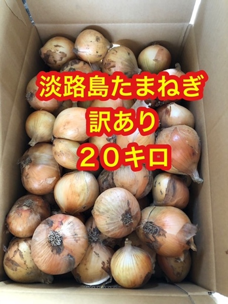 淡路島 たまねぎ 玉ねぎ 訳あり 20キロ