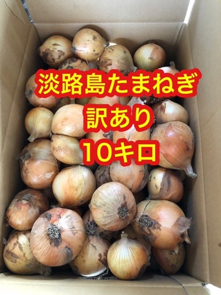 【訳あり10キロ】淡路島 たまねぎ 玉ねぎ