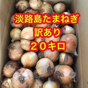 淡路島 たまねぎ 玉ねぎ 訳あり 20キロ