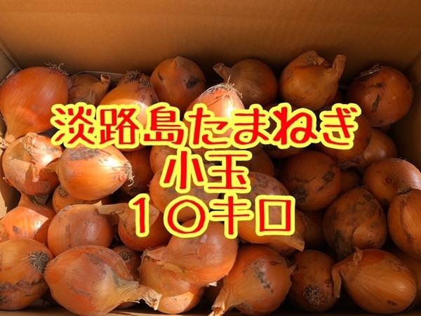 【小玉10キロ】淡路島たまねぎ 玉ねぎ ターザン