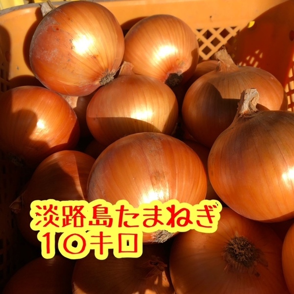 【10キロ】ほんまもん!淡路島 たまねぎ 完熟 ターザン