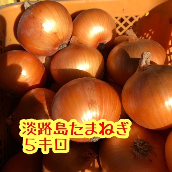 【5キロ】ほんまもん!淡路島 たまねぎ 完熟 ターザン