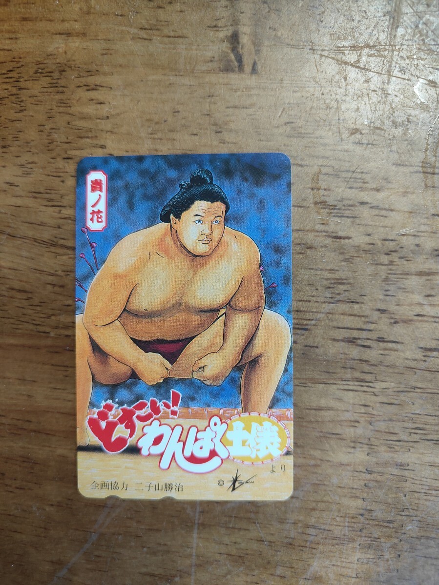 横綱 貴乃花 オレンジカード 2025年最新】Yahoo!オークション -貴乃花光司の中古品・新品・未