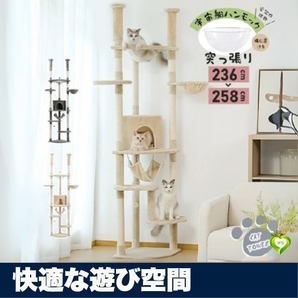 【快適な遊び空間】キャットタワー Mwpo ハンモック スリム 据え置き 人気 おすすめ