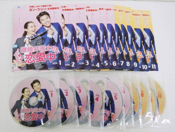 K-3065 離婚弁護士は恋愛中 全11巻(ケースなし) DVD レンタル版 ヨン・ウジン チョ・ヨジョン〈字幕〉