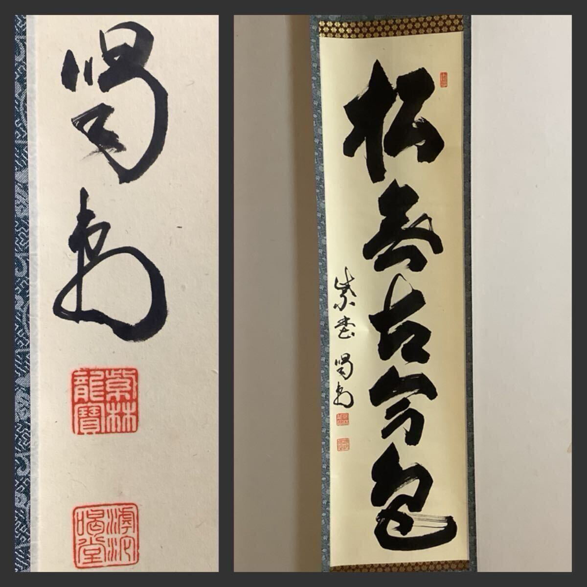 N239 掛軸 大徳寺 藤井誡堂 『松無古今色』 共箱 『真作』 肉筆 一行書 N239 掛軸 大徳寺 藤井誡堂 『松無古今色』 共箱 『真作』 肉筆