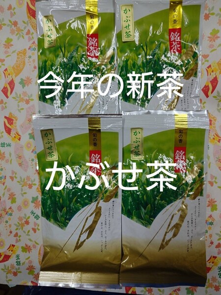 新茶 2025年度産 深蒸し茶 かぶせ茶100g4袋 日本茶緑茶煎茶お茶