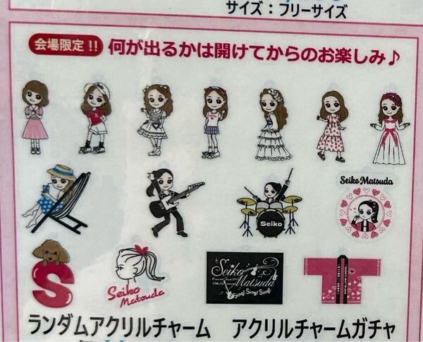 松田聖子 コンサートグッズ アクリルチャーム 15個コンプリート /プレミアムシートお土産