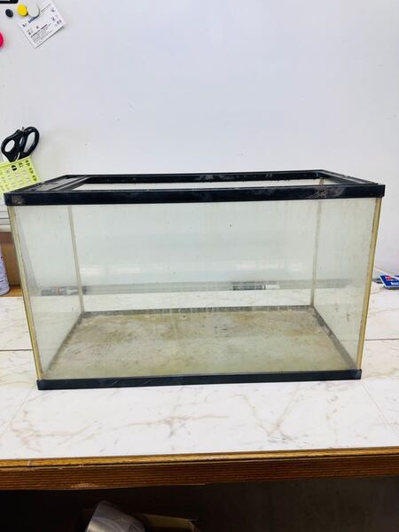 観賞魚 ペット ガラス 水槽 ケース 90cm BOX 軽量 家庭 業務 事務所