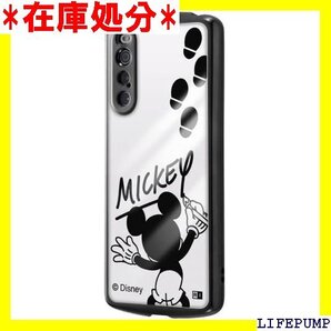 イングレム Xperia 10 V ケース キャラクタ _メタリック IN-RDXP10M5TC13B/MK13 846