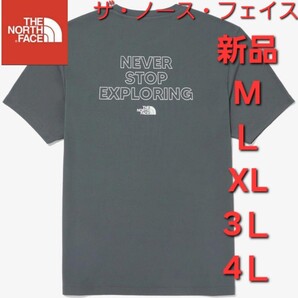 ノースフェイスTHE NORTH FACE 半袖 Tシャツ 新品 トップス 3L