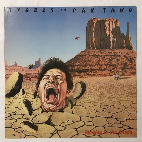 TYGERS OF PANG TANG BURNING IN THE SHADE UK盤 NWOBHM
