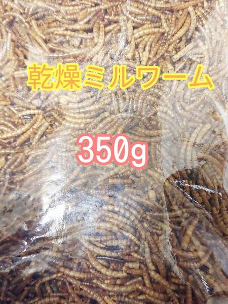 乾燥ミルワーム350g ハムスター フクロモモンガ ハリネズミ 小動物 爬虫類 鳥 トカゲ カエル ドライミルワーム