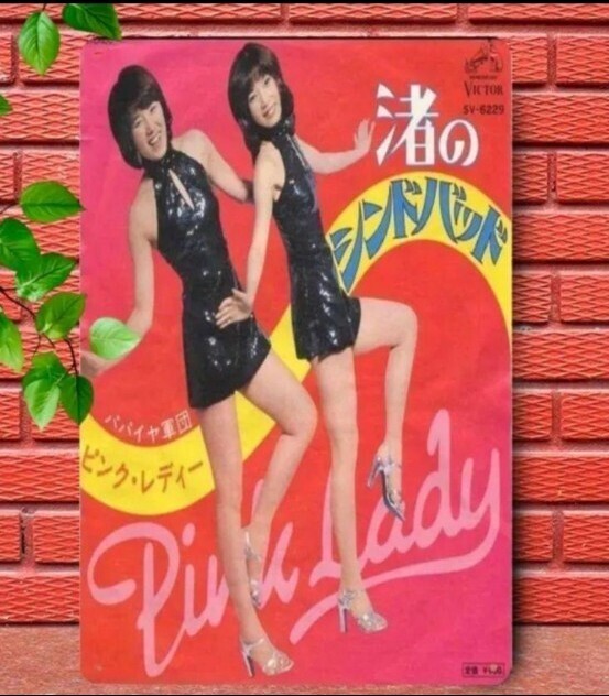 ペコさん専用 A ピンクレディポスター ペコさん専用 A ピンクレディポスター 2025年最新】ピンク