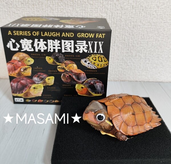 【動物の惑星】★スペングラーヤマガメ(シークレット)★ フィギュア