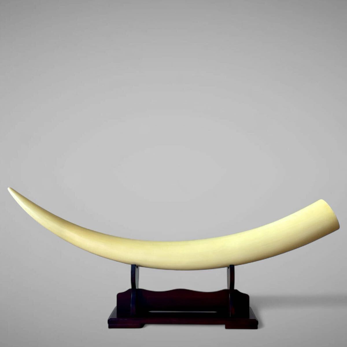 【ぼうや】74cm 一本牙象牙風置物 Yahoo!オークション -「象牙 一本物」の落札相場・落札価格