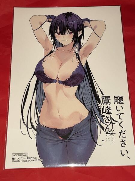 送料無料 履いてください、鷹峰さん 8巻 店舗特典 イラストカード ポストカード イラストペーパー 三洋堂書店 限定